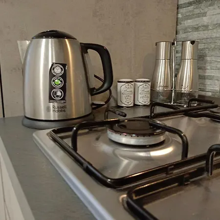Grey Olmo Apartment *