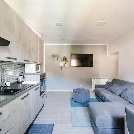 Apartment Grey Olmo